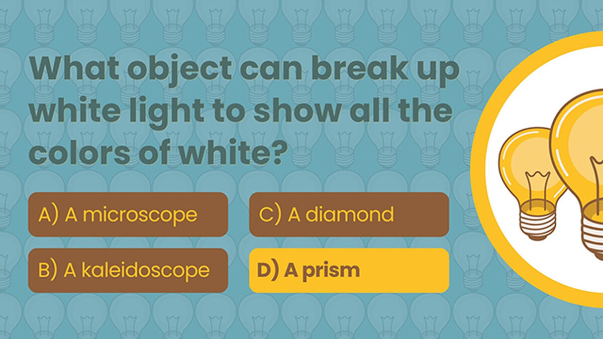 Light Trivia image number null